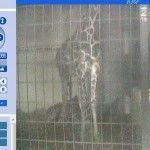 Ejemplo busqueda google camara online