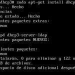 instalar servidor dhcp ubuntu
