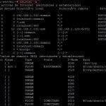 Netstat