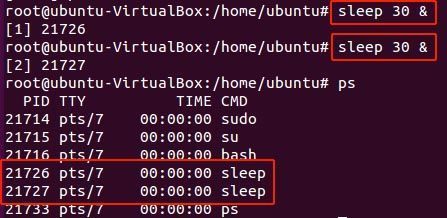 crear dos procesos sleep - Linux