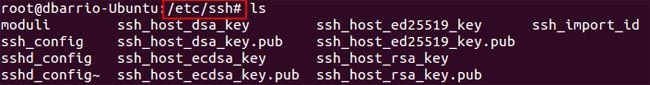 archivos servidor ssh