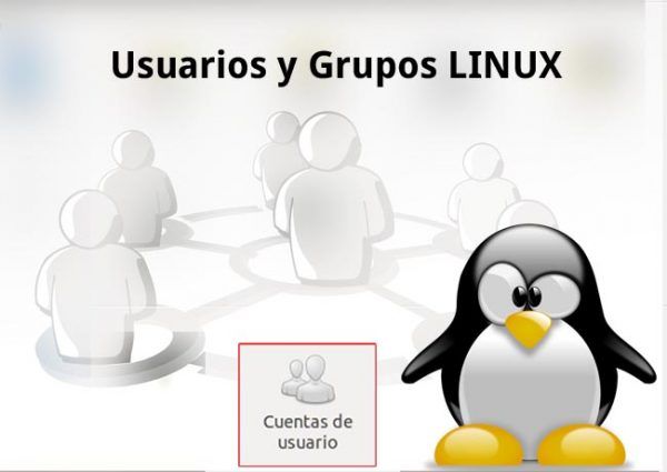 Administrar usuarios y grupos en Linux - El Taller del Bit