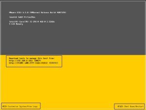 esxi booting download tools to manage this host