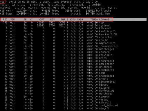 Matar Procesos en Linux - El Taller del Bit