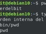 type pwd