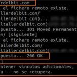wget spider consultar cabecera