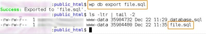 backup base datos wordpress con wp cli cloudways