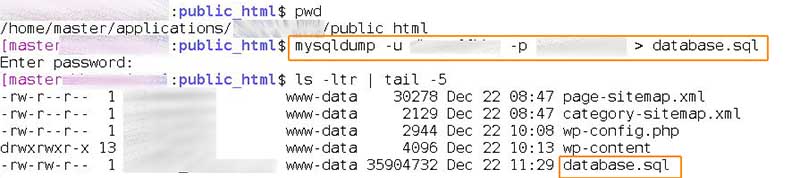 cloudways backup de la base de datos por terminal con mysqldump