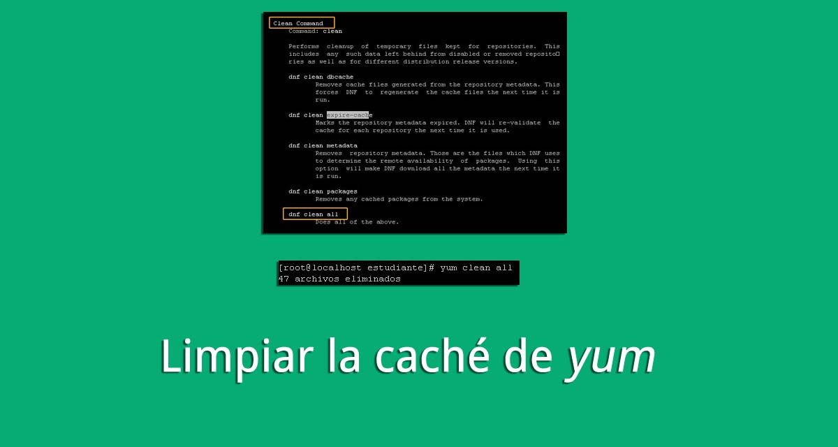 Limpiar la caché de yum El Taller del Bit